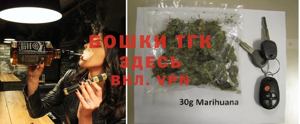 крисы Коряжма