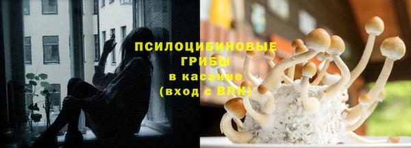сатива Чита