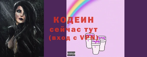крисы Коряжма