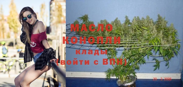 шишки Козловка