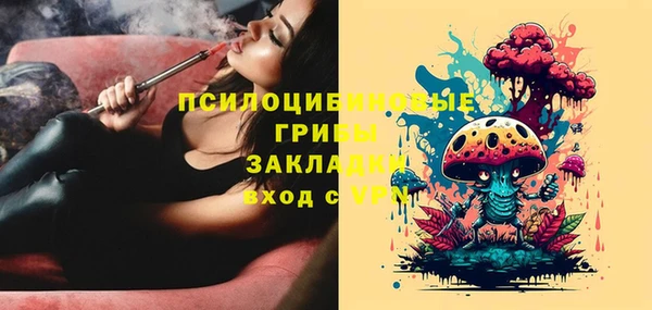 ГАЛЛЮЦИНОГЕННЫЕ ГРИБЫ Архангельск