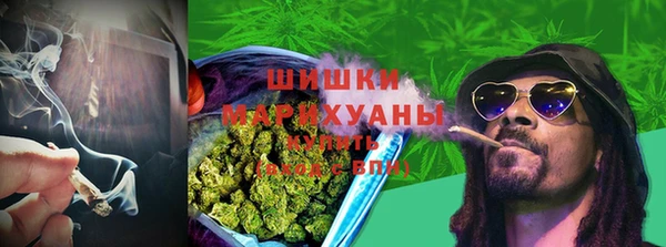 крисы Коряжма