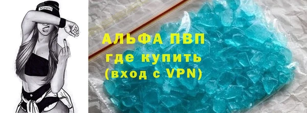крисы Коряжма