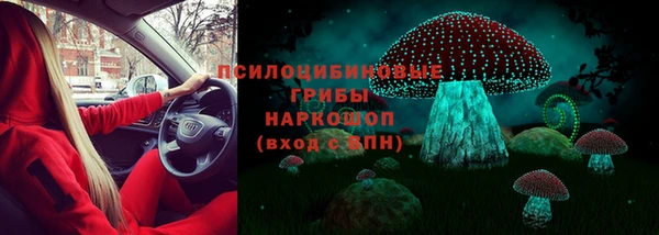 гашик Кодинск