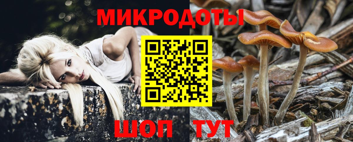 Кирово-Чепецк  Псилоцибиновые грибы мухоморы  Вход с VPN  Галлюциногенные грибы ЛСД 