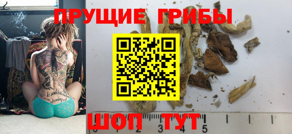Псилоцибиновые грибы мицелий Кирово-Чепецк